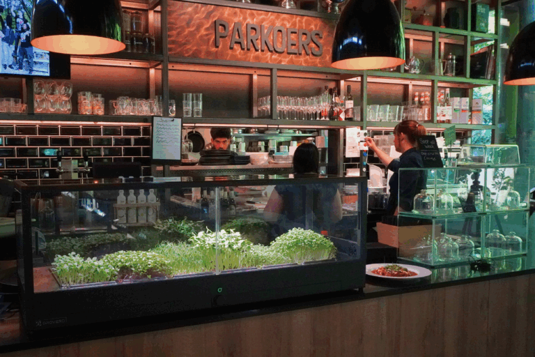 Minigro Mikrogrønt system opstillet på en disk i en flot cafe med dæmpet lys , alt interør er i mørkt trø sorter