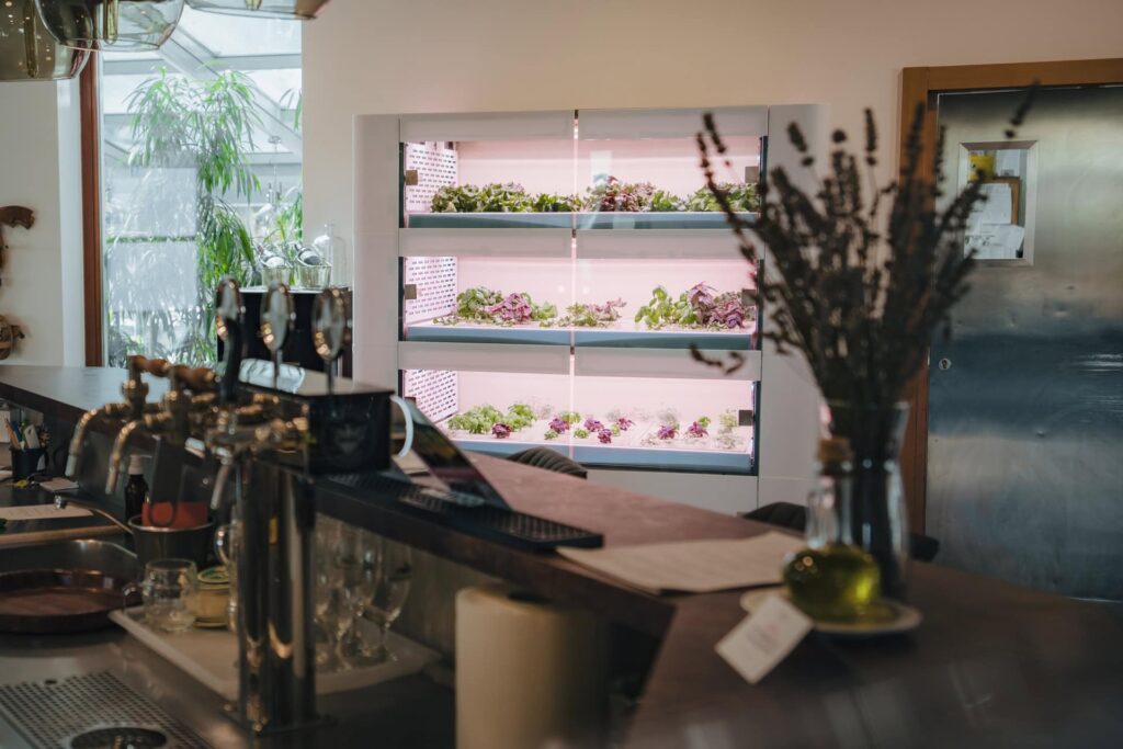 Urban Pro mikrofarming system til dyrkning af urter og mikrogrønt
