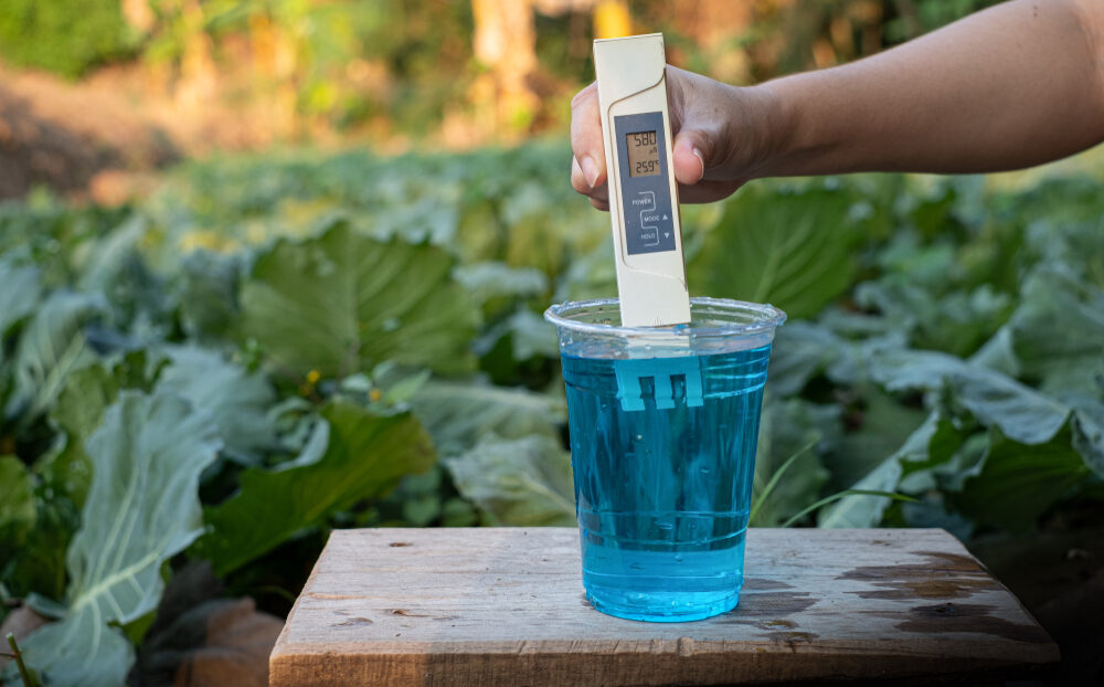Viser en hånd der hålder en tds måler ned i noget blåt vand med grønne planter i baggruden