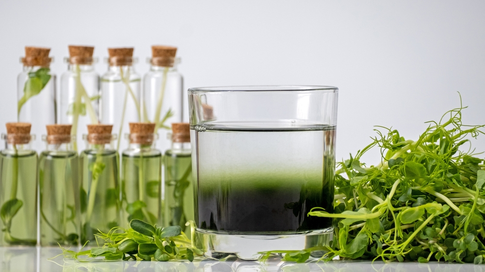 mikrogrønt i småflasker og et glas med grønt væske