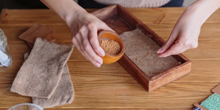 Dyrkning mikrogrønt hjemme