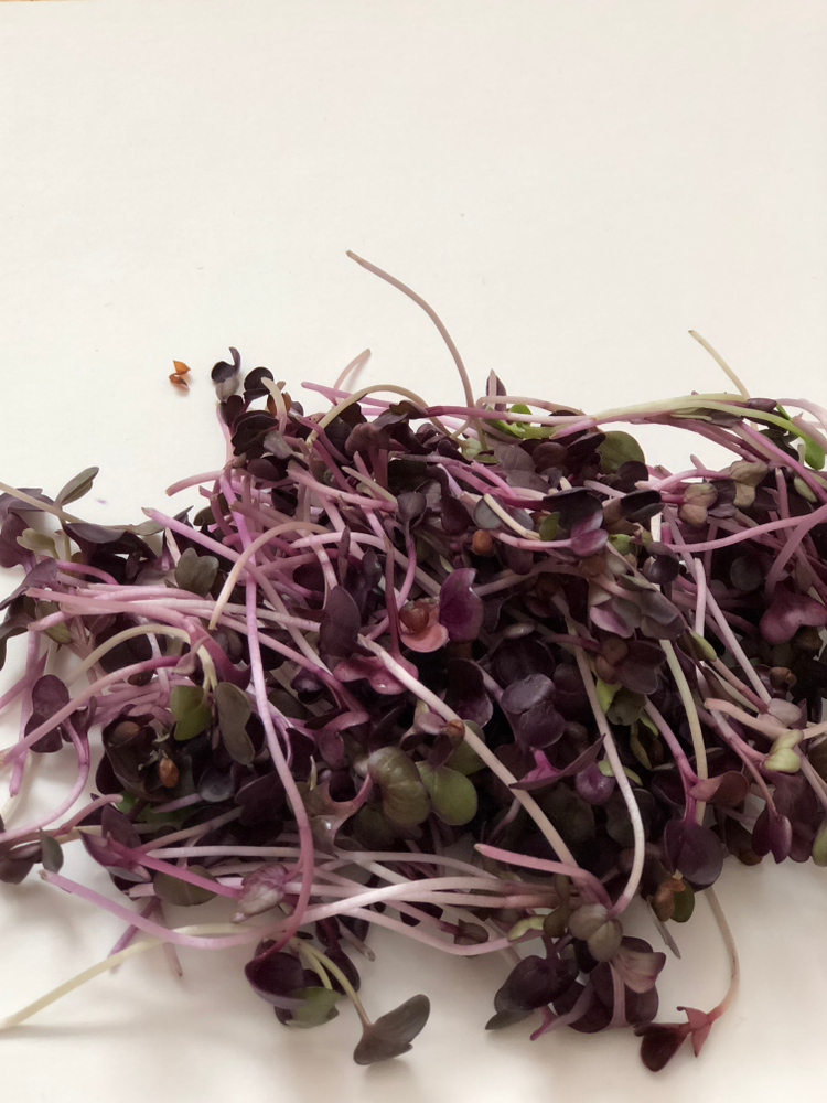 radise vulcano på hvid baggrund