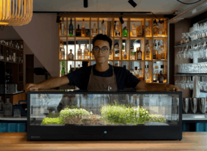 Minigro mikrofarming med en kok i baggrunden, design mikrogrønt system til kantiner ,resturanter og cafer