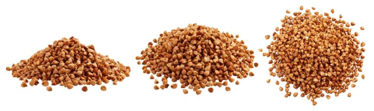 Boghvede mikrogrønt frø på hvid baggrund