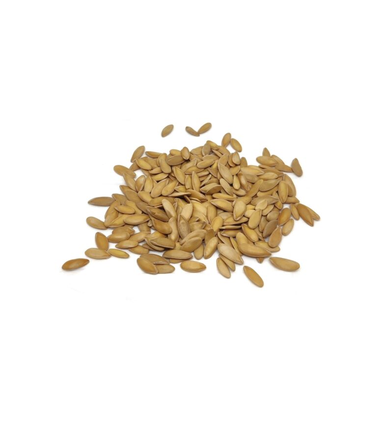 Cantaloupe melon mikrogrønt frø en bunke på hvid baggrund upgrowth.dk